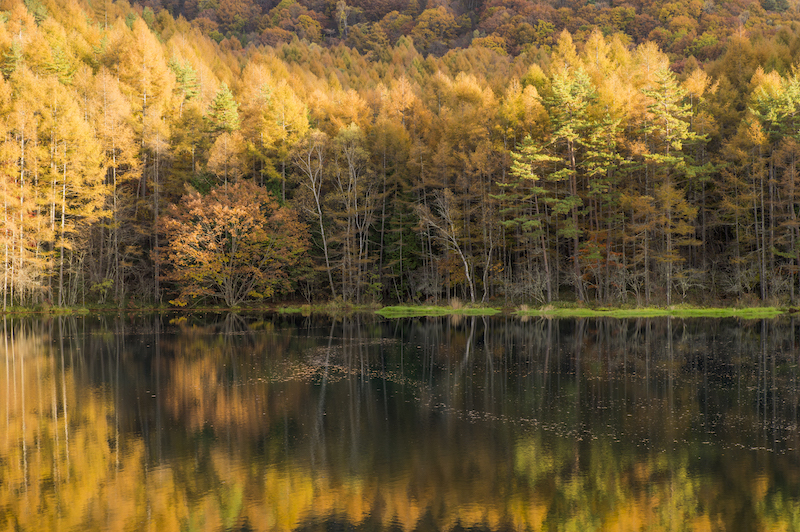御射鹿池（みしゃかいけ）」東山魁夷『緑響く』のモチーフとなった